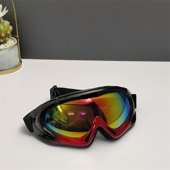 Oakley Ski Goggles 013